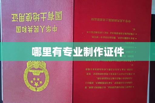 郧阳哪里有专业制作证件